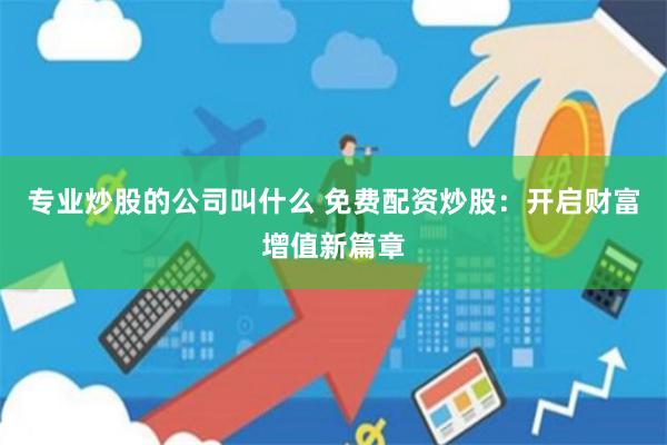 专业炒股的公司叫什么 免费配资炒股：开启财富增值新篇章