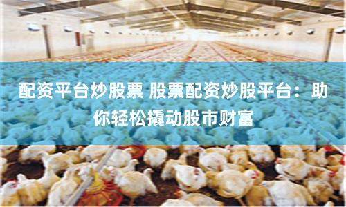 配资平台炒股票 股票配资炒股平台：助你轻松撬动股市财富
