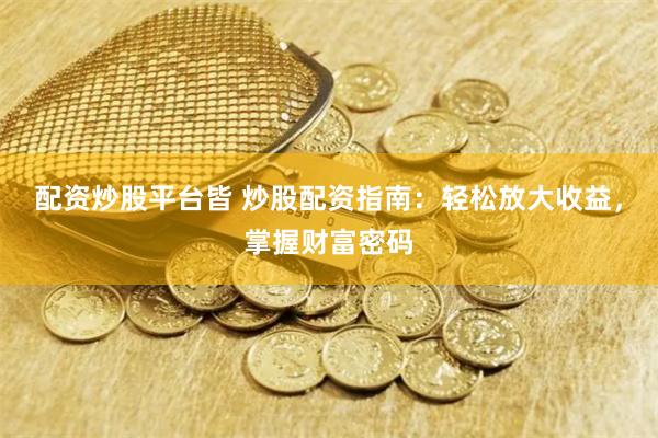 配资炒股平台皆 炒股配资指南：轻松放大收益，掌握财富密码