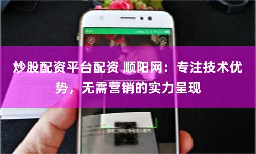 炒股配资平台配资 顺阳网:专注技术优势,无需营销的实力呈现