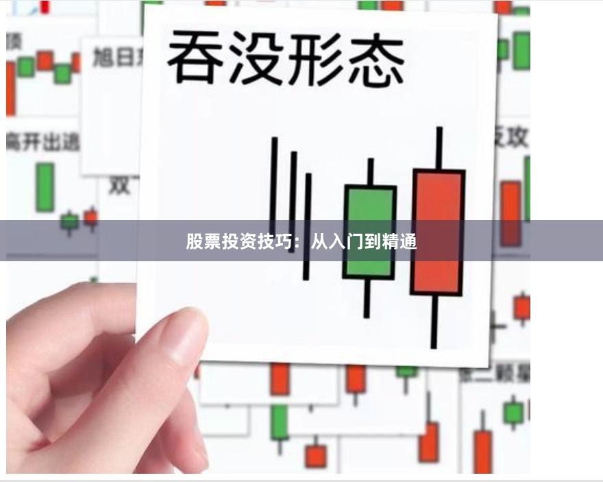 股票投资技巧:从入门到精通